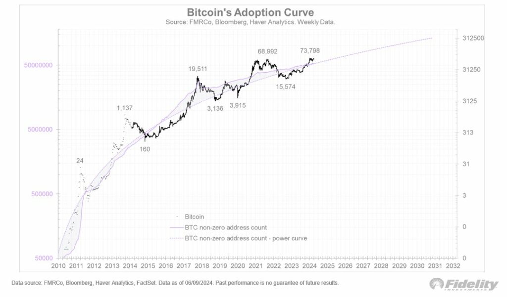 Kurva-adopsi-Bitcoin