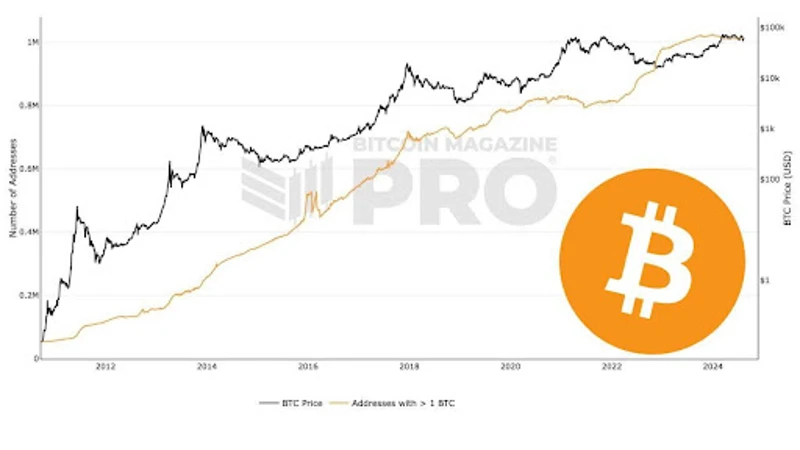 Grafik yang menunjukkan jumlah alamat Bitcoin yang memiliki 1 BTC
