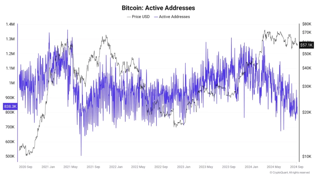 Alamat-aktif-Bitcoin