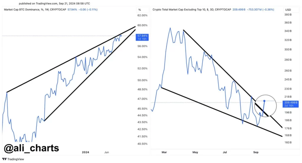 Meningkatnya-tren-di-pasar-altcoin